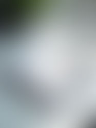 Quebec flag with document overlay showing 2025 Simplified LMIA changes for foreign workers and employers