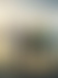 A diverse group of professionals, including a physician, an early childhood educator, and a skilled tradesperson, stand on a map of Ontario looking toward the Toronto skyline, symbolizing the increased opportunities and new beginnings offered by the OINP 2026 program.