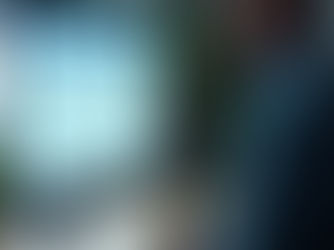 Canadian employer reviews a job application on the official Job Bank website, highlighting the mandatory Direct Apply feature for LMIA compliance. File Name: