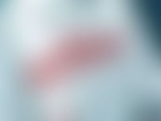 USCIS FY 2025 H-2B supplemental visa cap for returning workers reached, featuring calendar dates and official stamp.