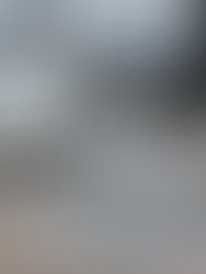 PERM processing chart February 2026 showing DOL case backlog and certification trends by employer type