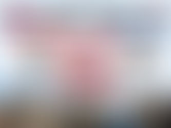 Dutch flag with Senate building, two-tier asylum system approved April 21 2026, Status A vs Status B, permanent residency abolished.