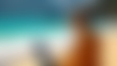 Why New Zealand is a Top Destination for Digital Nomads