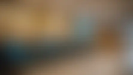 Visa Agents and Scams