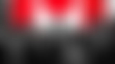 "A diverse group of French-speaking immigrants and Canadian officials gather under a Canadian flag backdrop, symbolizing collaboration to strengthen Francophone communities and labor markets."