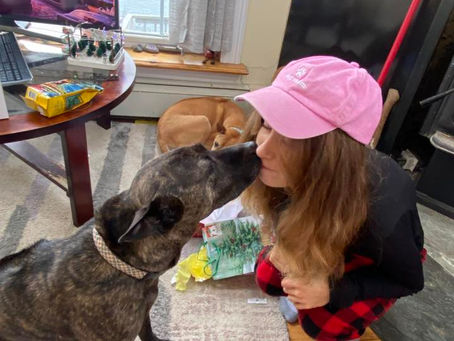 Mother’s Day and the Phu Quoc Ridgeback Dog: Love That Holds the Line