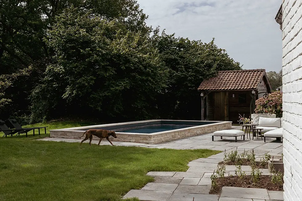 klein-sauvage-zedelgem-keramisch-_stefaniefaveere-0028_2024-10-01-081222_wzjt_aeb3353cc420