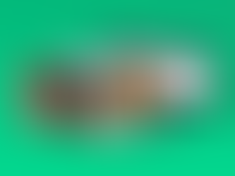 5 Ways Templates Help You Build a Website Faster