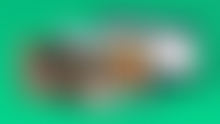 5 Ways Templates Help You Build a Website Faster