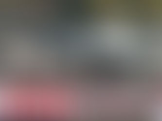 奈良川桜フェスティバル