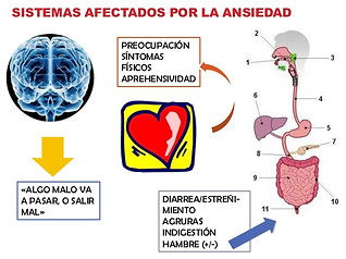 ansiedad-y-depresin-pltica-2013-10-638.j