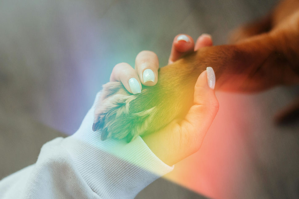 pawhandnails_edited.jpg