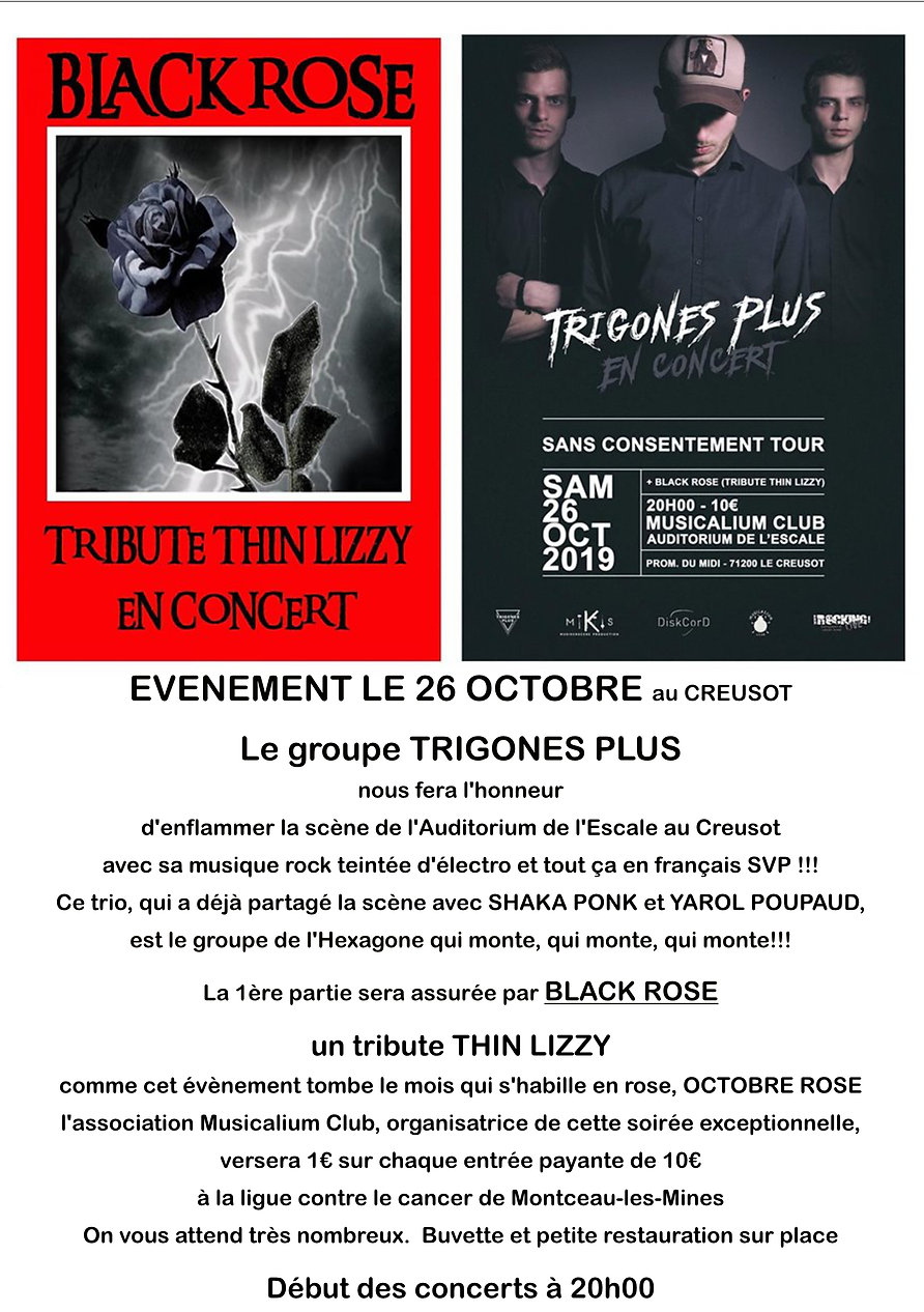 flyer trigones 11.jpg