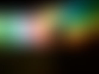 Solicitations: CEOs & CDOs Powerful Relationship