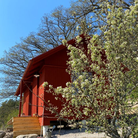 peinture-falun-rouge-clair-cabanon-kristineberg-arbre.jpeg