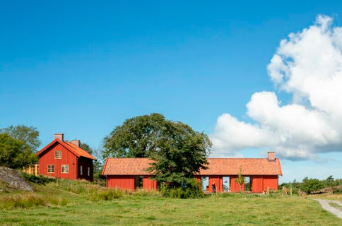Äggdal-FALUN-ROUGE-CLAIR-FERME-longeur.jpeg