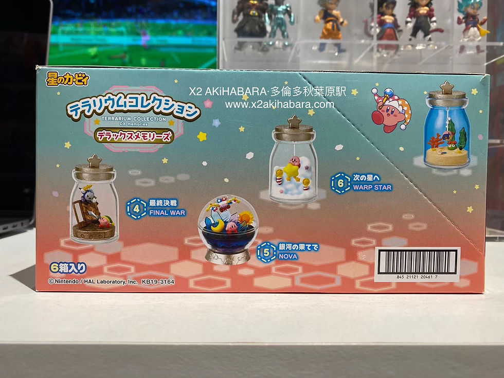 縮圖：KIRBY Terrarium Collection DX Memories 星之卡比 水晶瓶收藏 第2彈 豪華記憶（全6種）