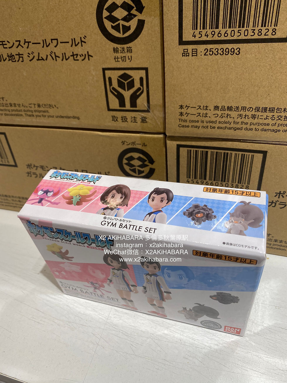 縮圖：POKEMON SCALE WORLD【GALAR 伽勒爾地區篇 】GYM BATTLE SET 道館對戰組