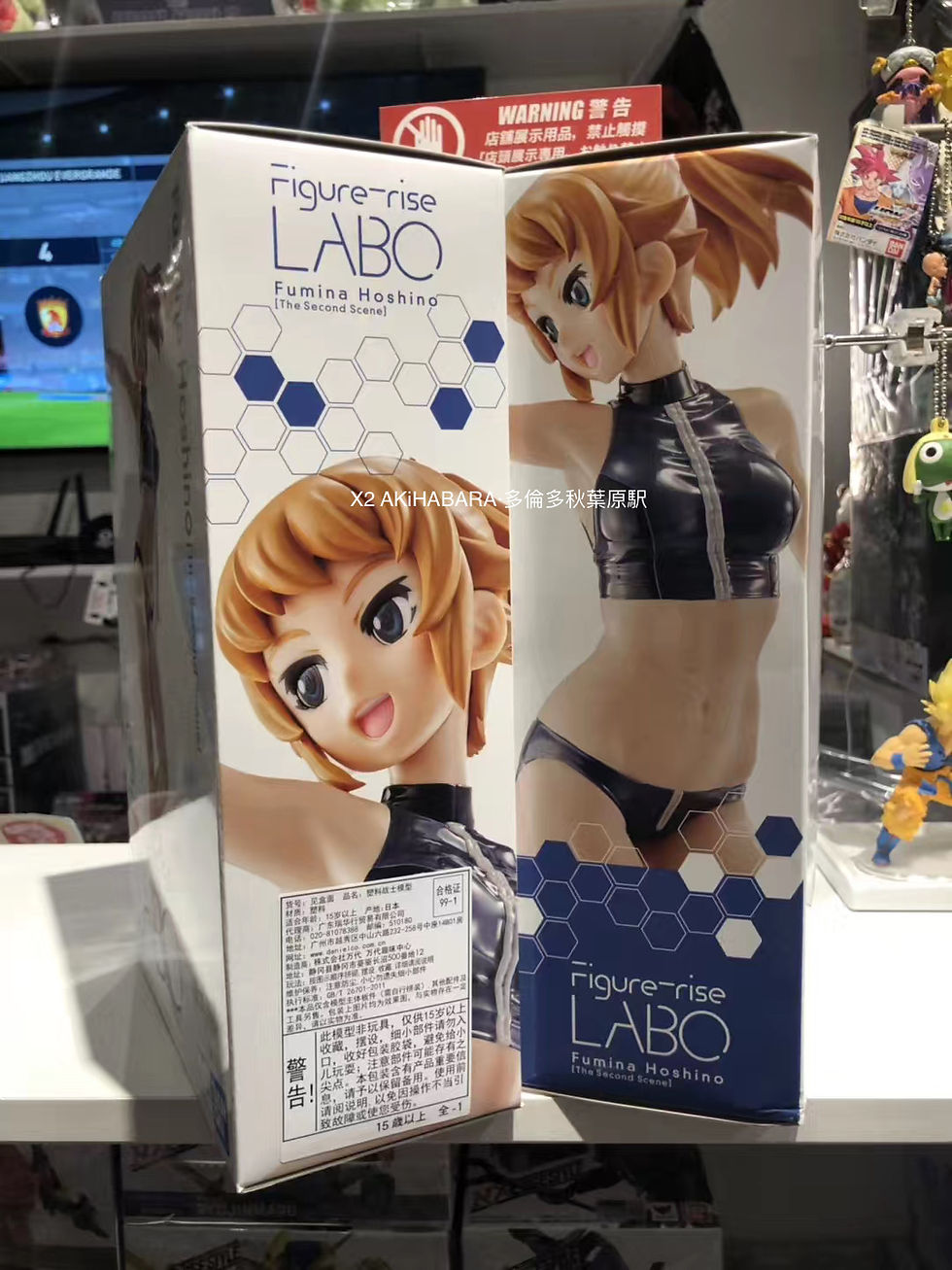 縮圖：Figure-rise LABO FUMINA HOSHINO 星野文奈 [The Second Scene]