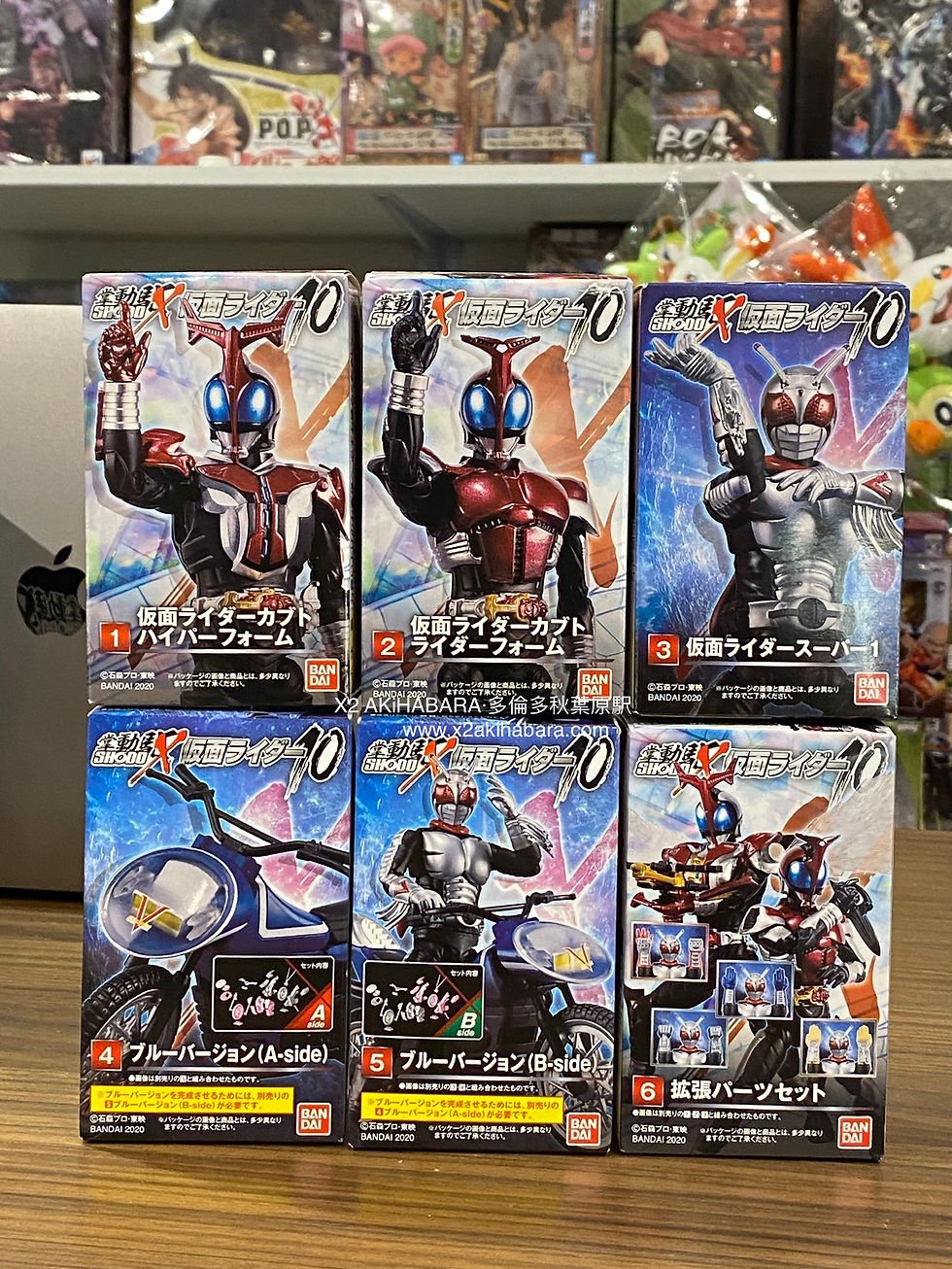 縮圖：SHODO-X KAMEN RIDER 10 假面騎士 掌動X 第10彈（全6種）