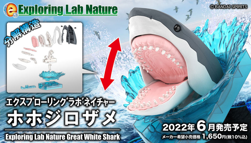 Thumbnail: Exploring Lab Nature Great White Shark 大白鯊