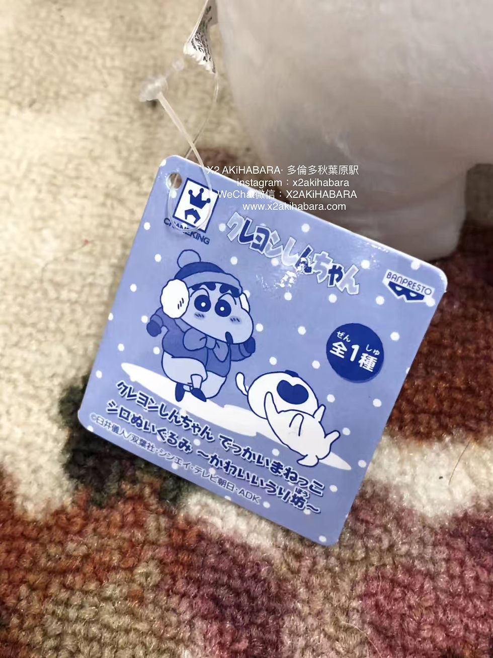 縮圖：でっかいまねっこシロぬいぐるみ～かわいいうり坊～ 《蠟筆小新》軟綿綿的毛絨玩具 小白 野豬造型 Ver.