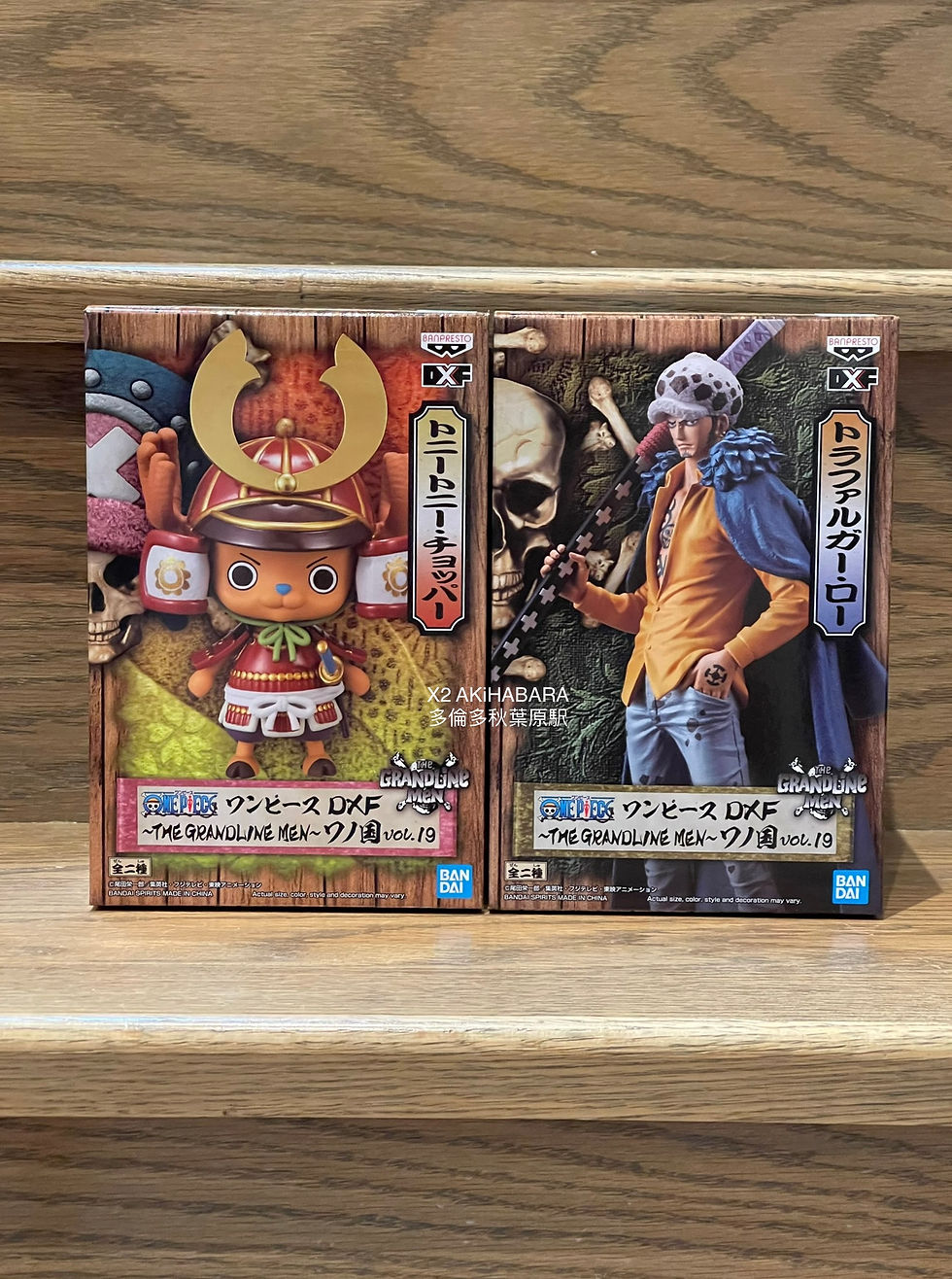 縮圖：ONE PIECE DXF ~THE GRANDLINE MEN~WANO Vol.19 偉大航道的男人 和之國 第19彈 東尼東尼·喬巴 & 羅(全2種)