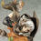 Thumbnail: Excellent Model Series Dragon’s Crown 1/7 Elf《龍之皇冠》精靈弓箭手(Elf)