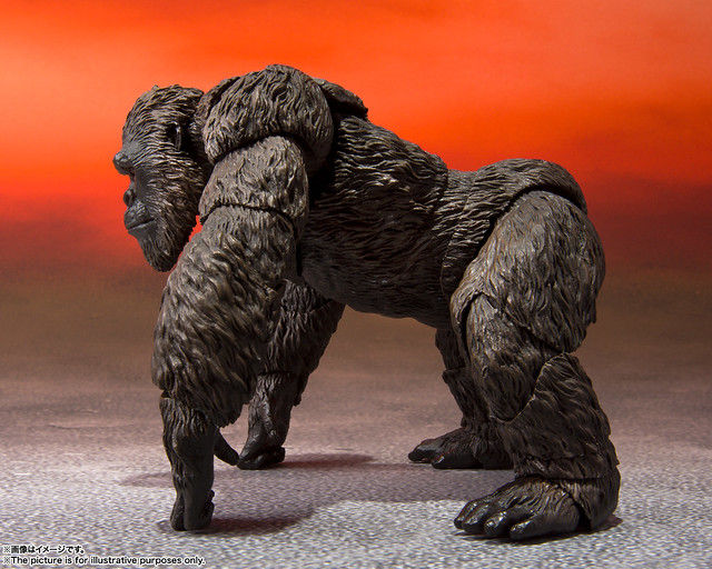 縮圖：S.H.MonsterArts KONG FROM GODZILLA VS KONG (2021) 《哥吉拉大戰金剛》 金剛（2021）