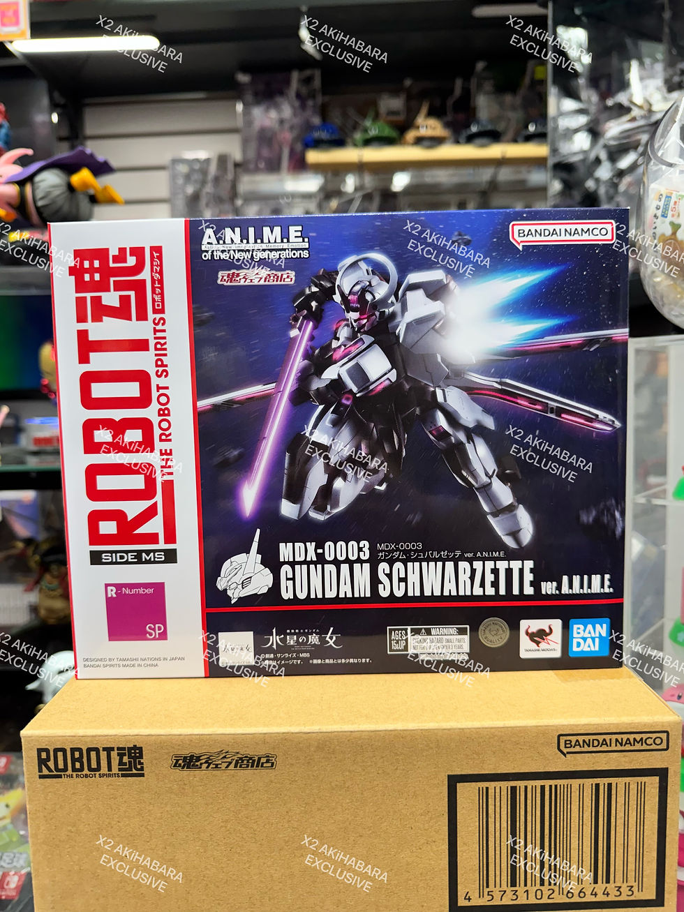 縮圖：ROBOT SPIRITS MDX-0003 GUNDAM SCHWARZETTE ver.A.N.I.M.E.