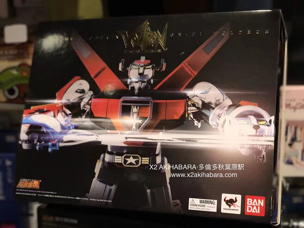 縮圖：超合金魂 GX-71 VOLTRON 五獅合體 百獸王