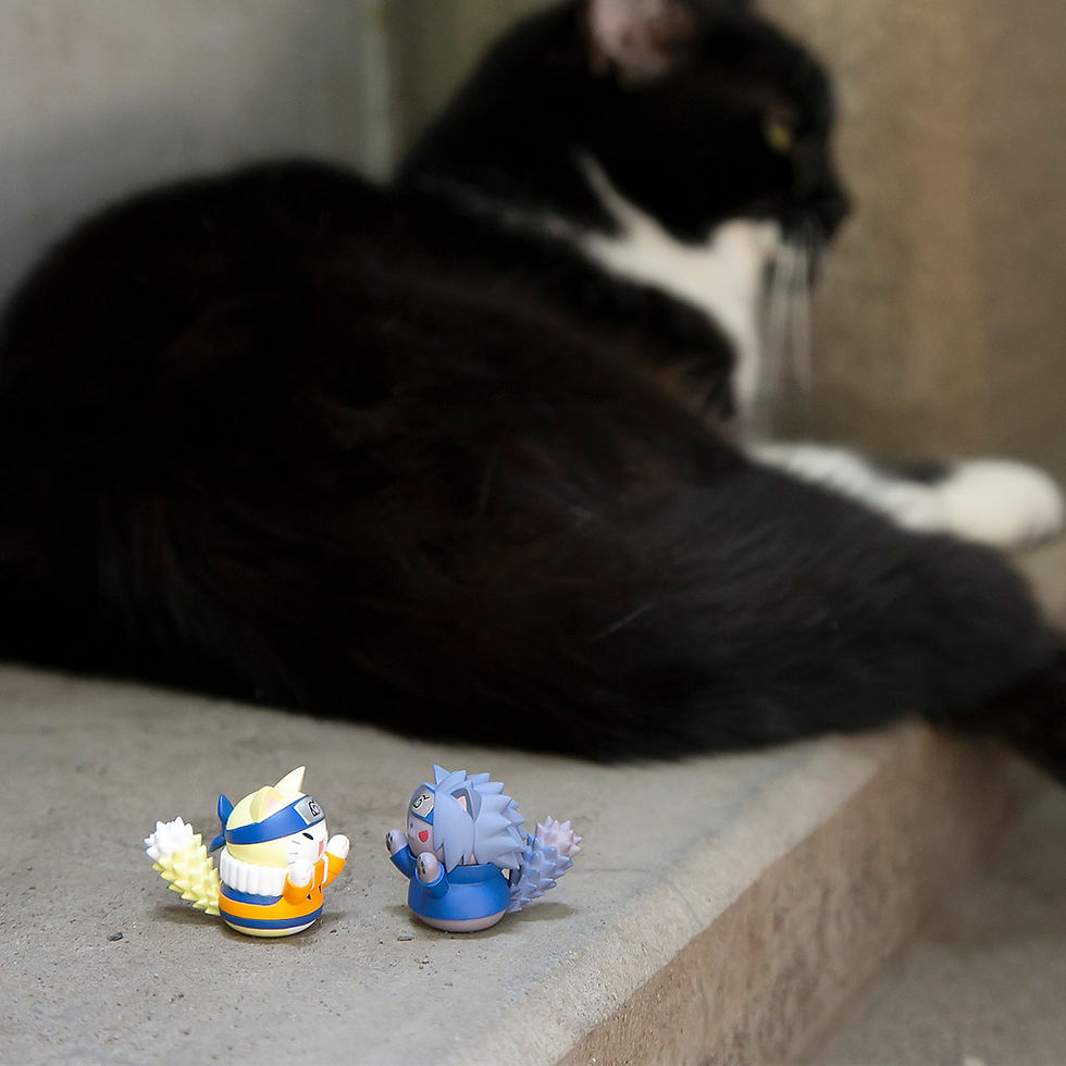 縮圖：NARUTO -ナルト-　ニャルト！ サスケく～んこっちにいらっしゃ～い編《火影忍者》喵影！佐助君過來這裡～編（特別版）