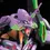 縮圖：RG EVANGELION UNIT-01