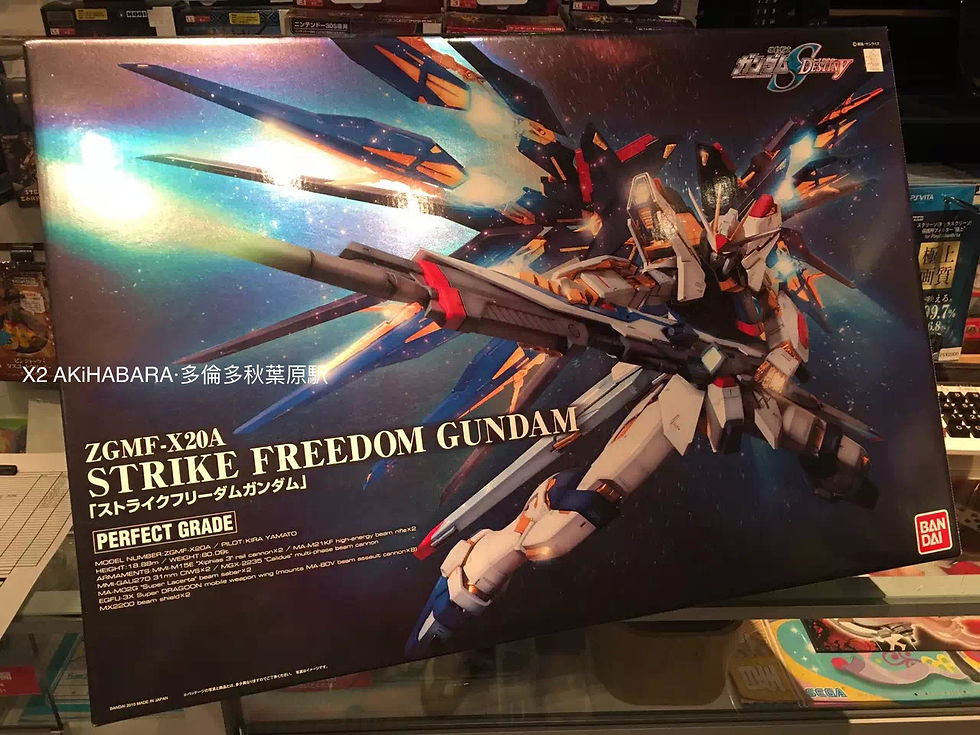 縮圖：PG 1/60 ZGMF-X20A STRIKE FREEDOM GUNDAM 強襲自由高達