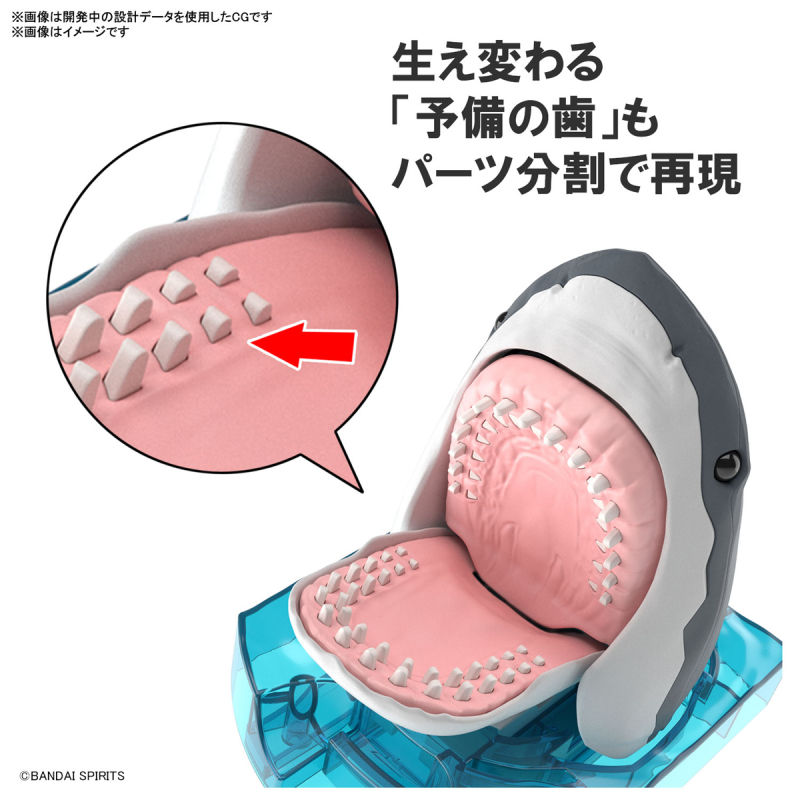 Thumbnail: Exploring Lab Nature Great White Shark 大白鯊