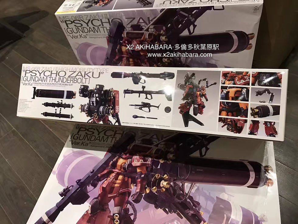 Thumbnail: MG 1/100 MS-06R ZAKU II HIGH MOBILITY TYPE PSYCHO ZAKU [THUNDERBOLT] "Ver. 精神力渣古