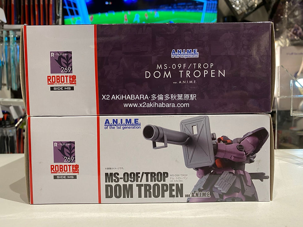 縮圖：ROBOT魂 <SIDE MS> MS-09F/TROP DOM TROPEN 大魔熱帶型 ver.A.N.I.M.E.