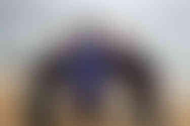 Group picture of students at Marlbourough Sounds after snorkelling