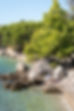 DSC01157.jpg