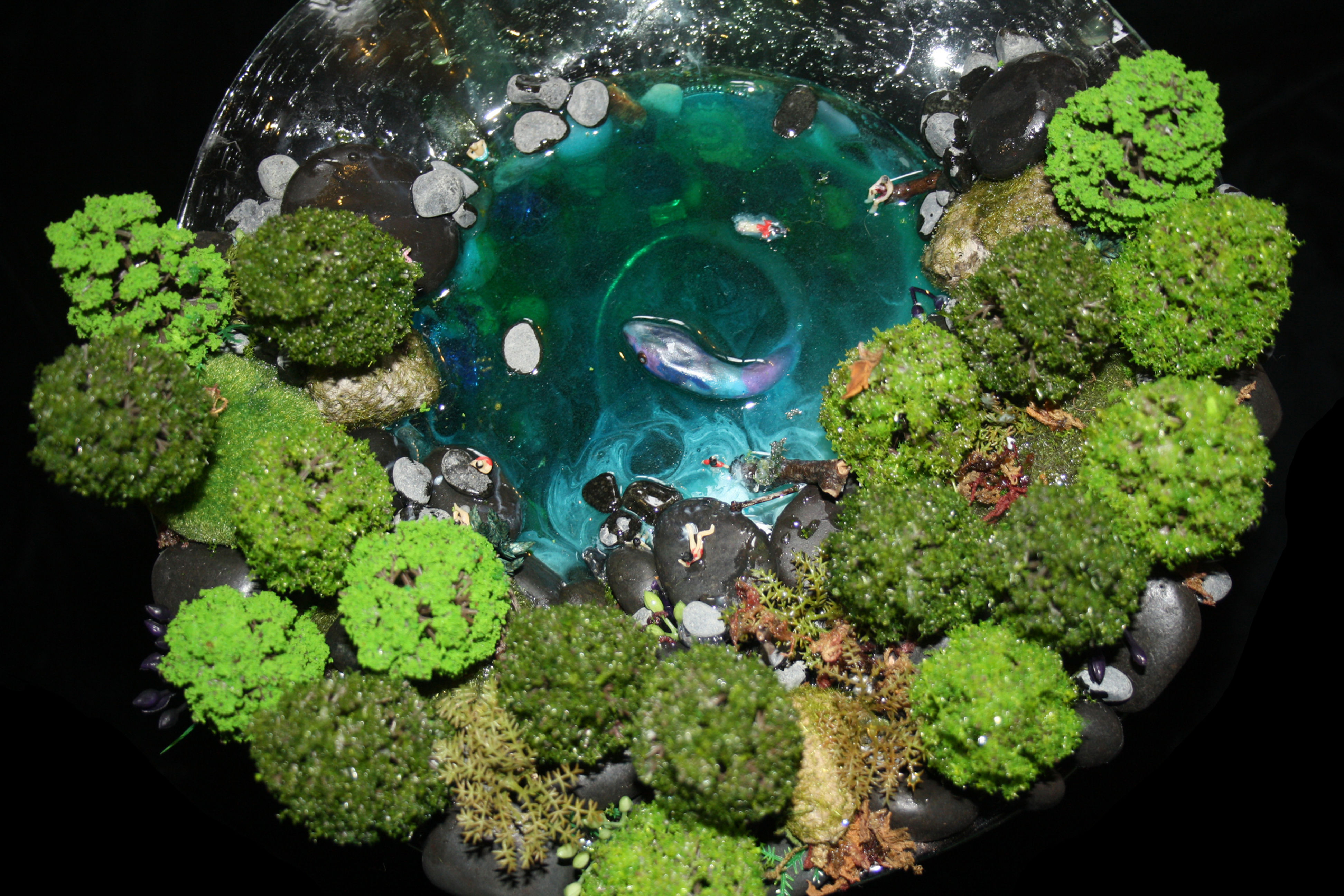 'Cedar Creek Dreaming'