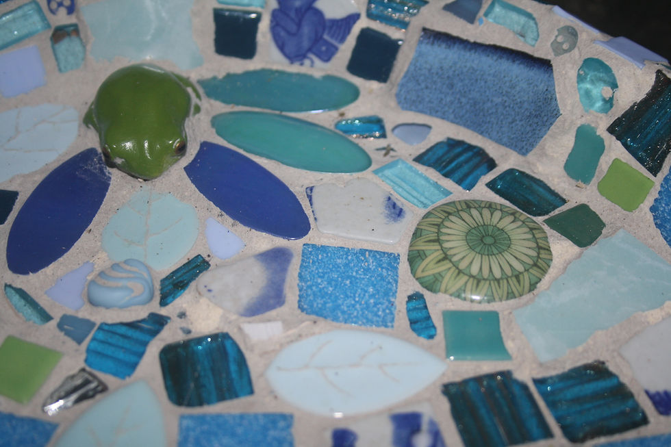 Thumbnail: Green Frog Waterbowl