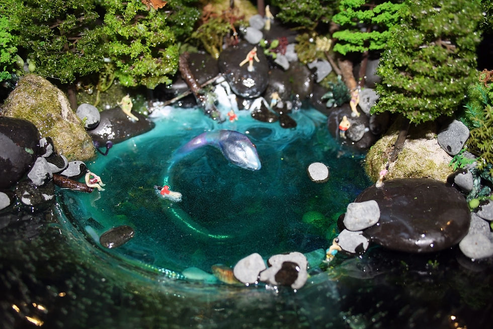 Thumbnail: 'Cedar Creek Dreaming'
