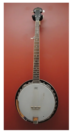 Alabama ALB25 5‑string banjo with mahogany resonator, mahogany neck, and cast aluminum rim. Remo coated skin head with a smal