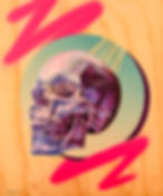 Skull Study painting