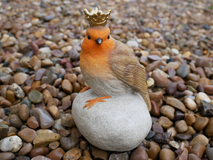 Gokd Crown Robin