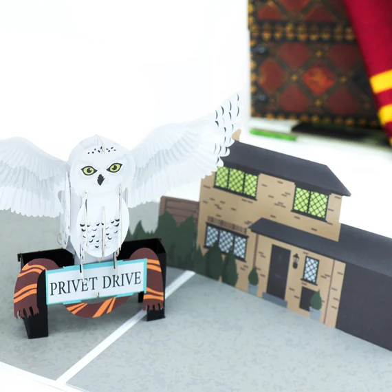 Harry Potter Heswig Pop Up Card