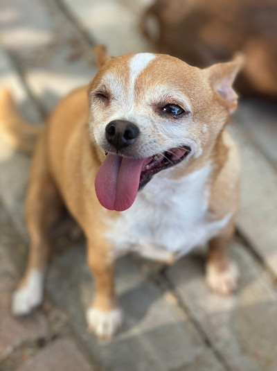 Leela
