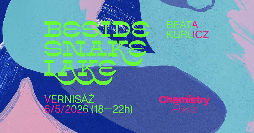 Opening of a drawing exhibition at Chemistry Prints: Beata Kurucz - Beside Snake Lake