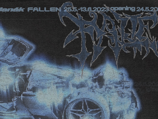 Matěj Janák - Fallen
