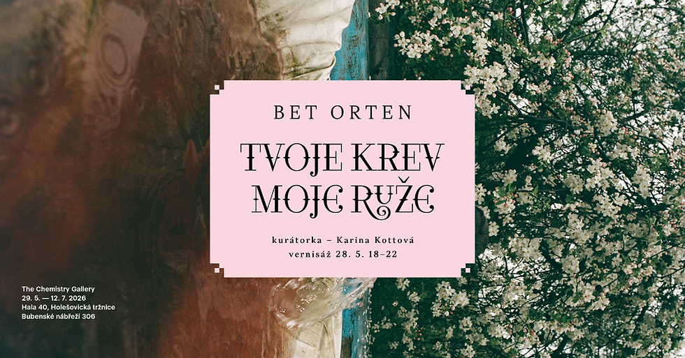Vernisáž výstavy Bet Orten: TVOJE KREV / MOJE RŮŽE